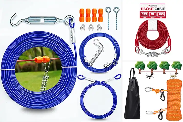 Detailed view of Best 100Ft Dog Run Cable For Two Dogs