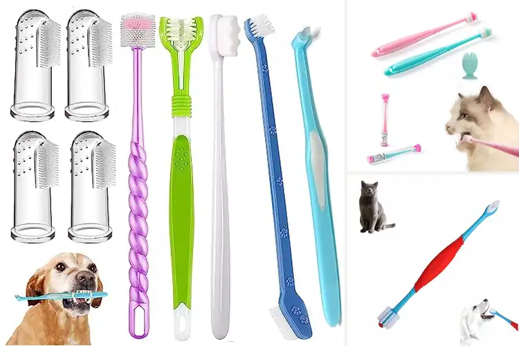 Detailed view of Best 360 Degree Cleaning Dog Toothbrush