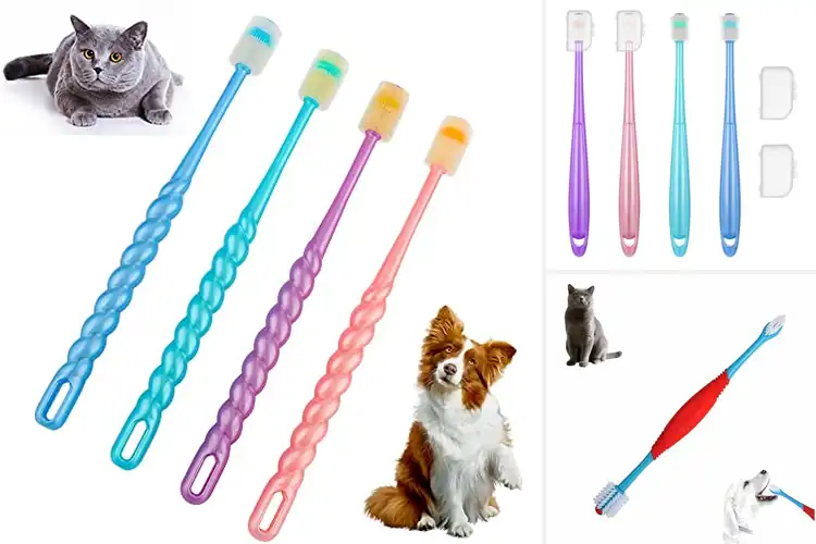 Detailed view of Best 360 Degree Cleaning Dog Toothbrushes