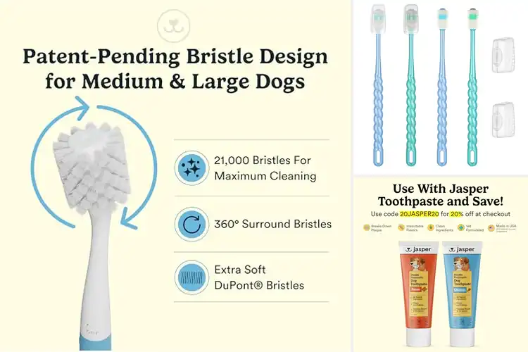 Detailed view of Best 360 Degree Dog Toothbrush