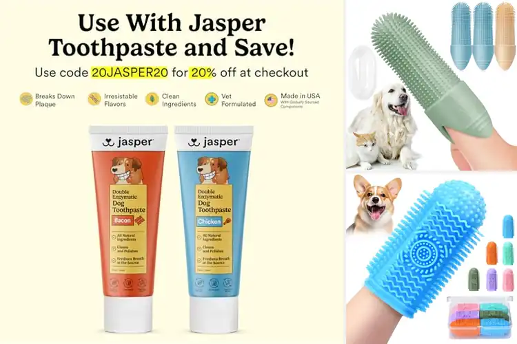 Detailed view of Best 360° Cleaning Finger Dog Toothbrushes