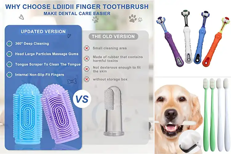 Detailed view of Best 4 Pack Dog Toothbrush
