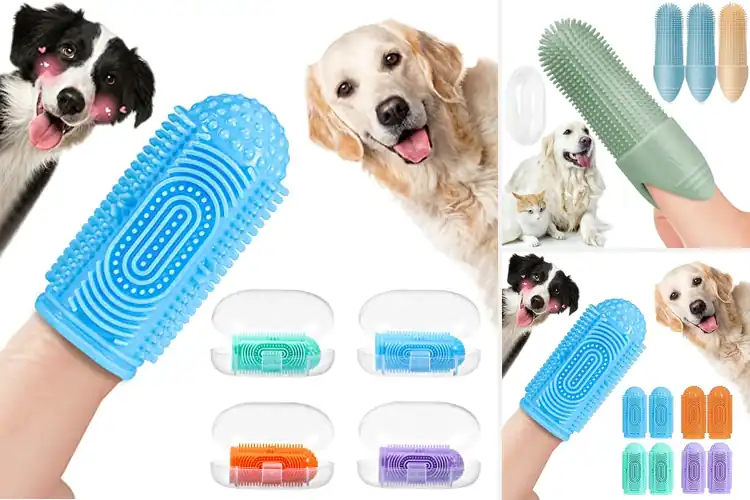 Detailed view of Best 4 Pack Dog Toothbrushes For Multi Pet Families