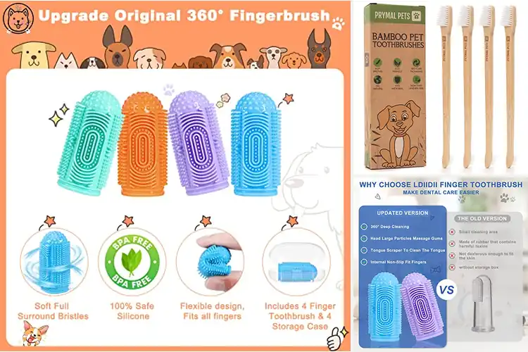 Detailed view of Best 4 Pack Dog Toothbrushes
