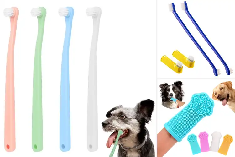 Detailed view of Best 4 Pack Pet Toothbrush Set