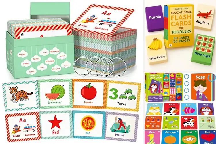Detailed view of Best Animal Colors Fruits Shapes Cards
