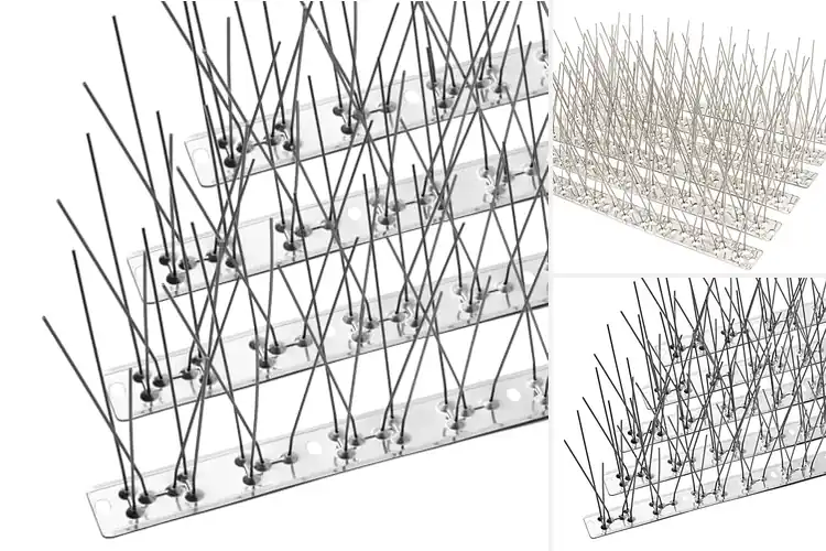 Detailed view of Best Bird Spikes For Pigeons