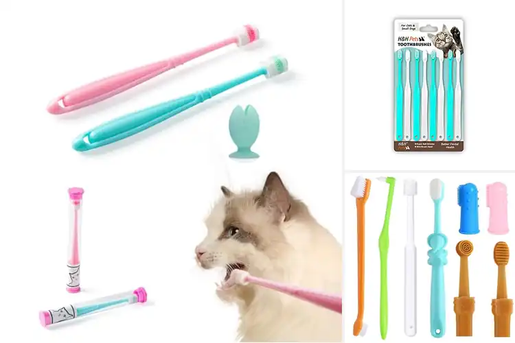 Detailed view of Best Cat Toothbrushes