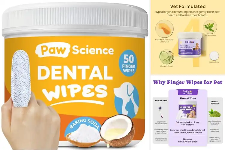 Detailed view of Best Cleaning For Dog Teeth