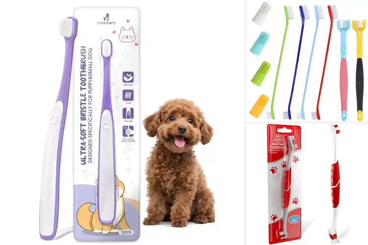 Detailed view of Best Compact And Lengthened Dog Toothbrush