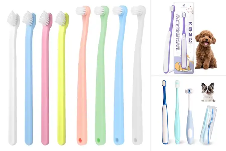 Detailed view of Best Compact Portable Dog Toothbrushes