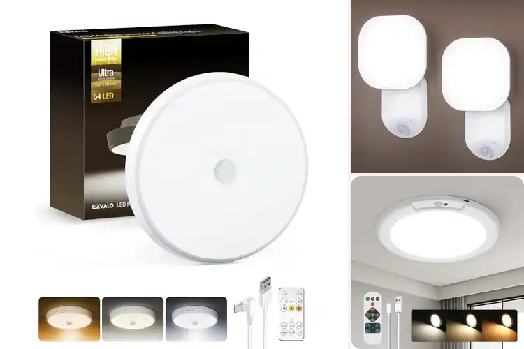 Detailed view of Best Dimmable 400 Lumen Motion Sensor Light