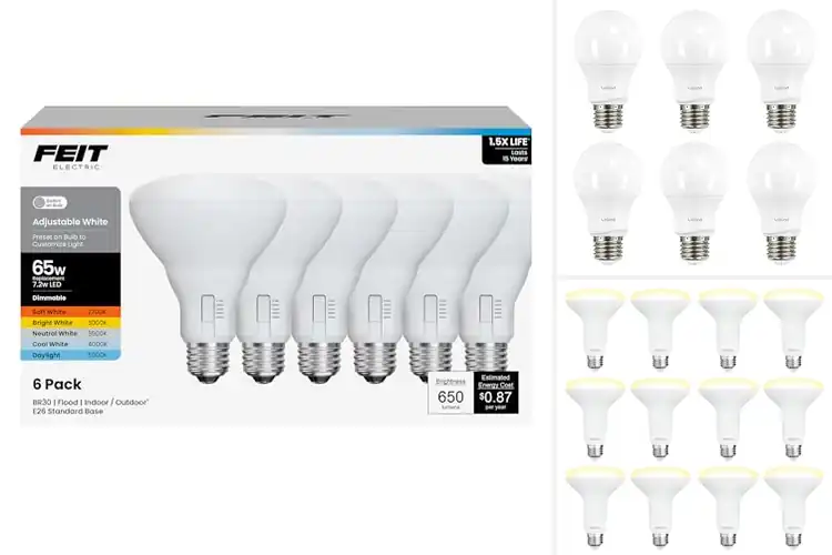Detailed view of Best Dimmable Indoor Lights