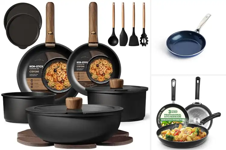 Detailed view of Best Dishwasher Safe Pans