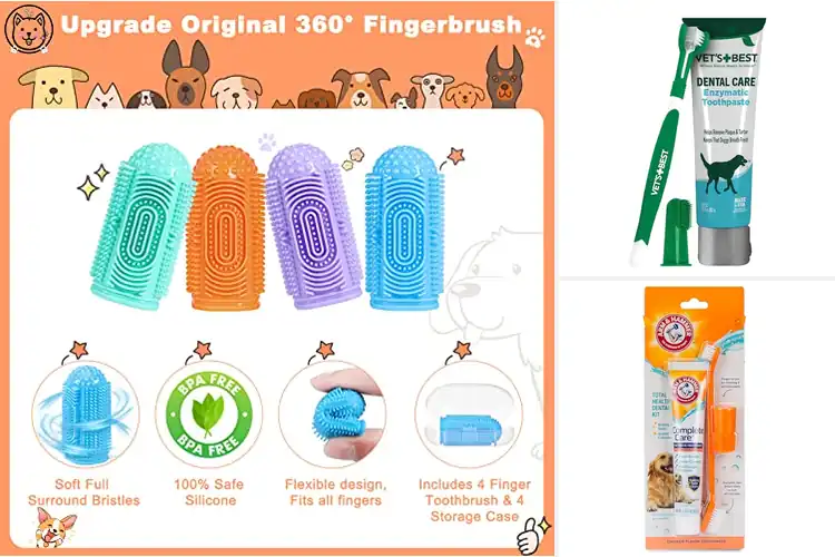 Detailed view of Best Dog Dental Care Brushes