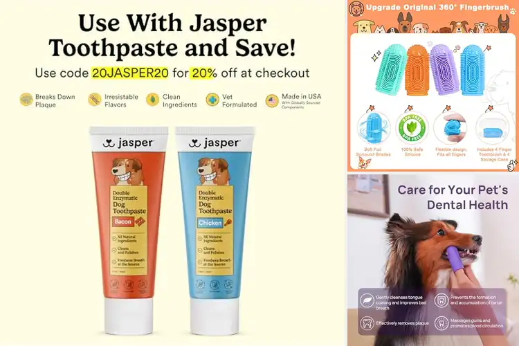 Detailed view of Best Dog Finger Toothbrush: Top 10 Picks for Healthy Teeth