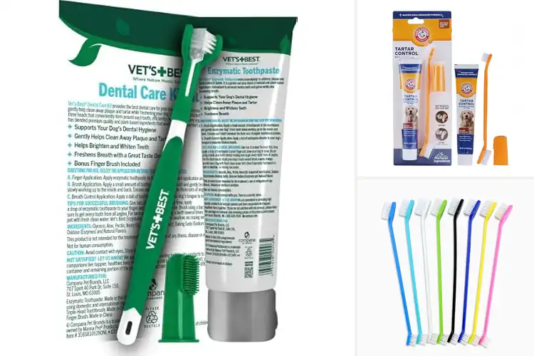 Detailed view of Best Dog Toothbrush For Teeth Cleaning