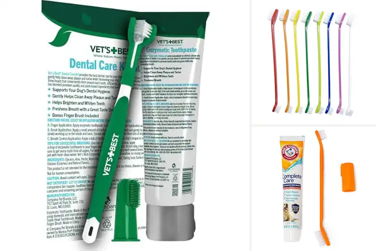 Detailed view of Best Dog Toothbrush Sets for Sparkling Teeth & Fresh Breath