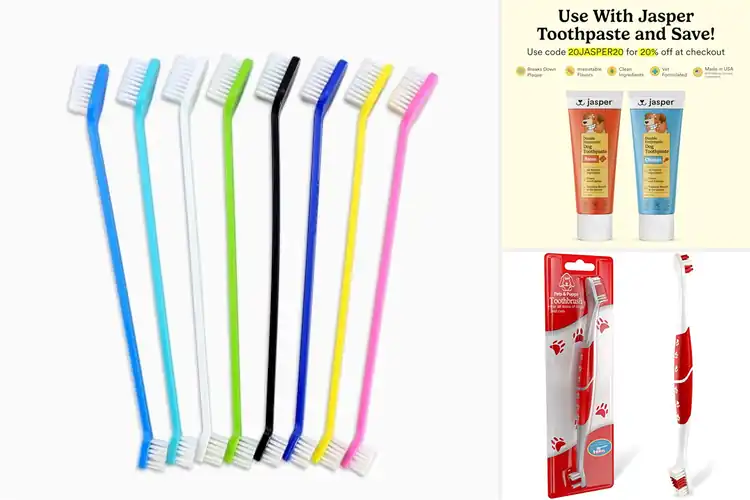Detailed view of Best Dog Toothbrushes: Gentle, Durable, and Easy Dental Care