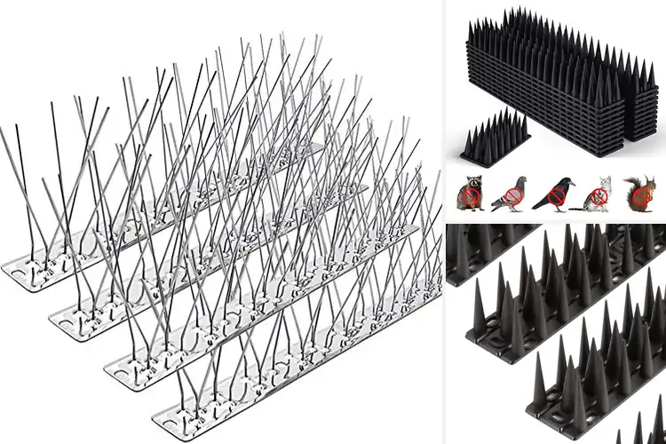 Detailed view of Best Easy Install Bird Spikes
