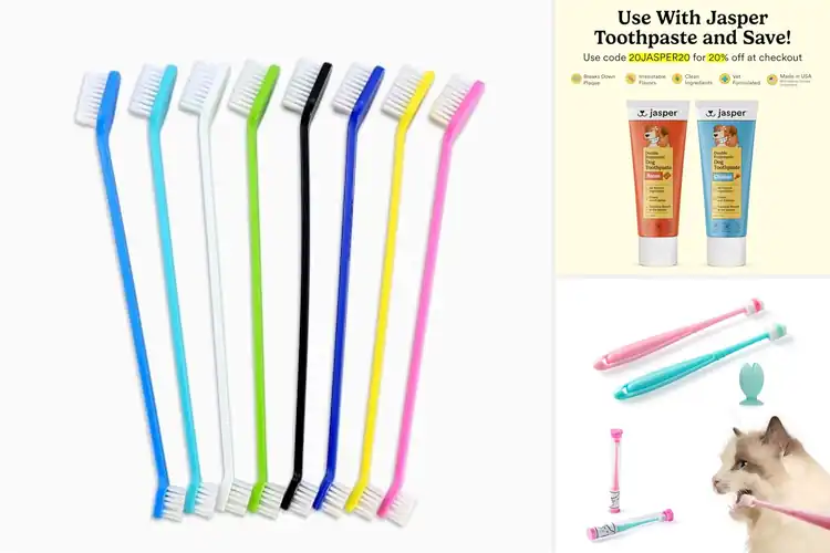 Detailed view of Best Easy To Clean Dog Toothbrush: Happy Gums, Easy Care