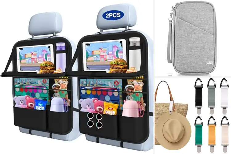 Detailed view of Best Family Travel Accessories