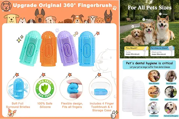Detailed view of Best Finger Brushes For Dogs