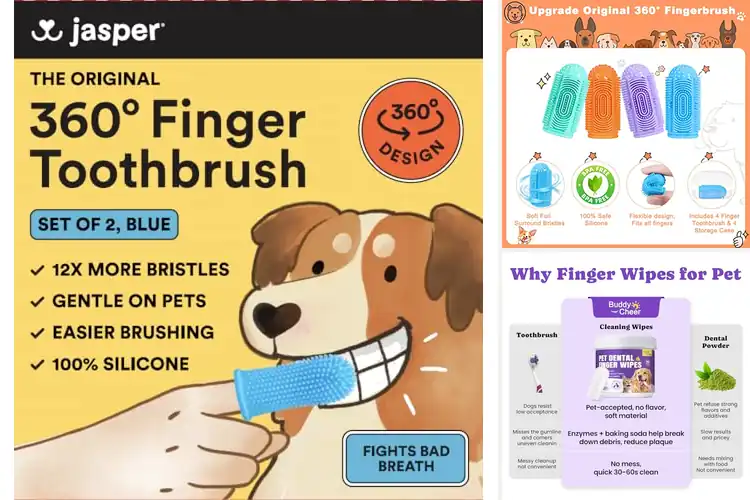Detailed view of Best Finger Dog Toothbrush: Top Picks for Pup’s Oral Health