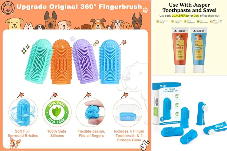 Detailed view of Best Finger Toothbrush For Dogs