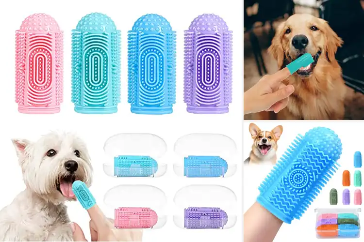 Detailed view of Best Finger Toothbrushes For Dogs And Cats