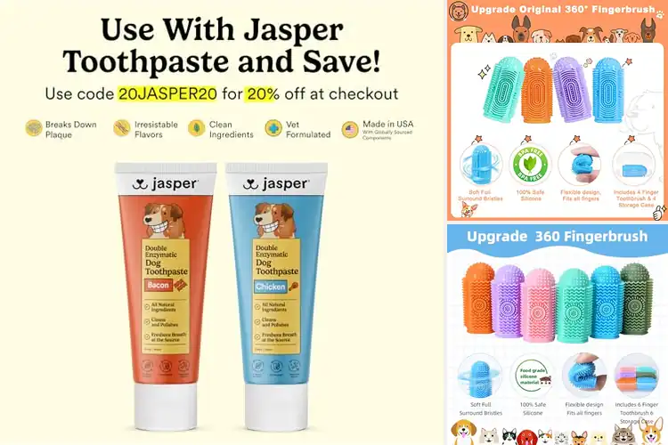 Detailed view of Best Finger Toothbrushes For Dogs