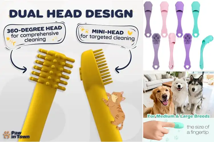 Detailed view of Best Food Grade Silicone Dental Brushes