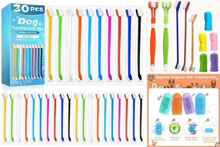 Detailed view of Best For Multi Pet Families Toothbrush Pack