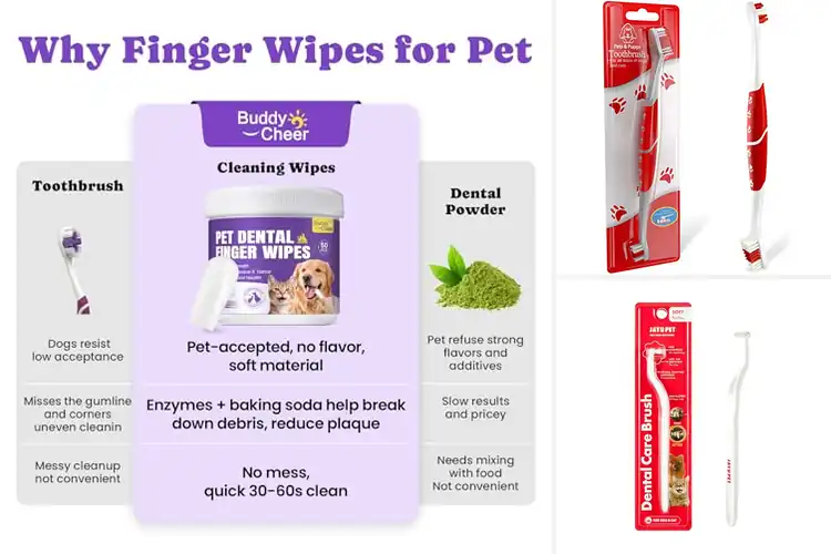 Detailed view of Best Gentle Gum Care Toothbrush For Pets