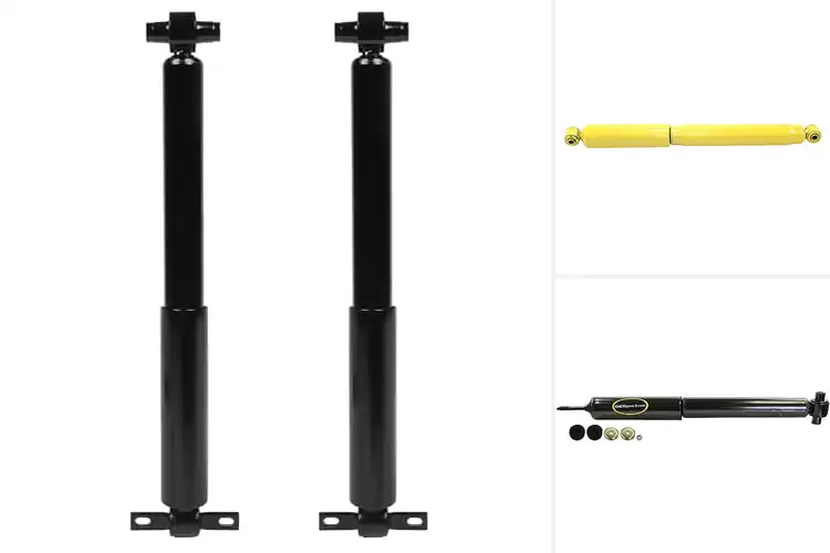 Detailed view of Best Lifetime Replacement Shocks