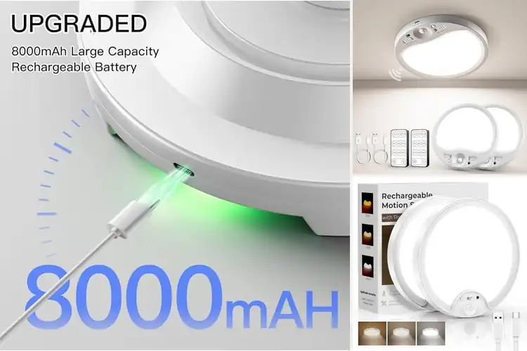Detailed view of Best Long Lasting Battery Ceiling Light 8000mAh
