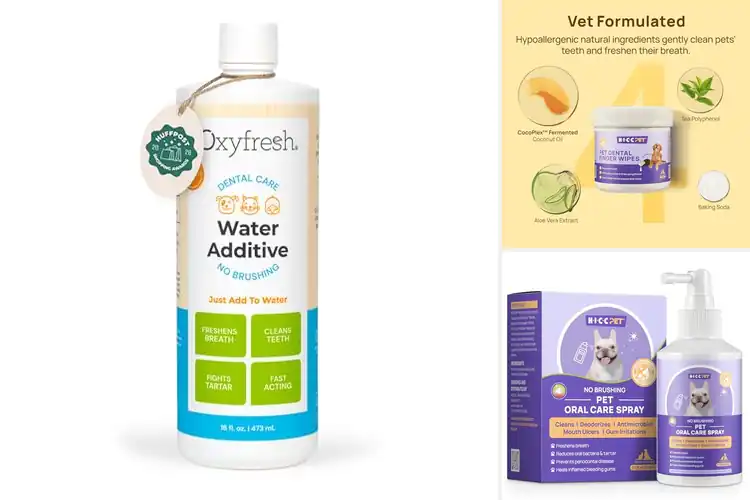 Detailed view of Best Low Maintenance Pet Dental Care