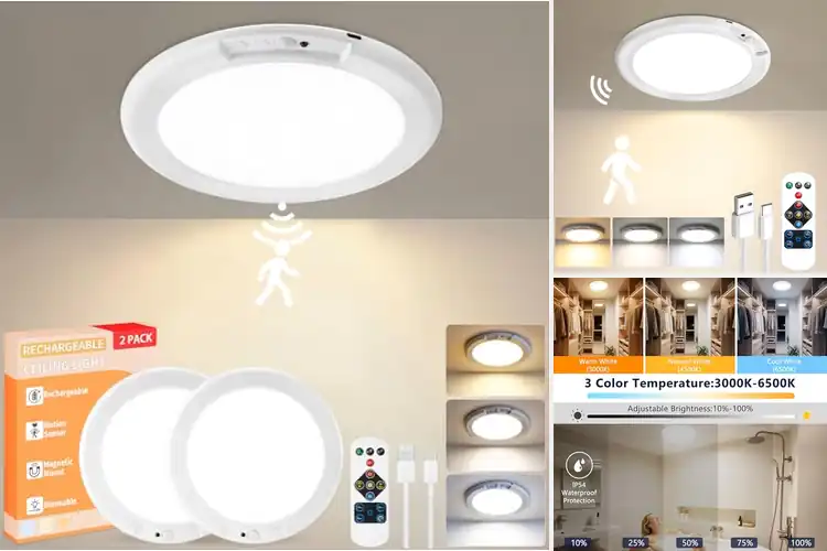 Detailed view of Best Magnetic Ceiling Lights