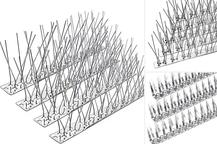 Detailed view of Best Metal Bird Spikes For Fences