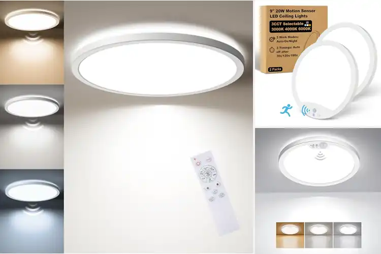 Detailed view of Best Motion Activated Hallway Ceiling Light