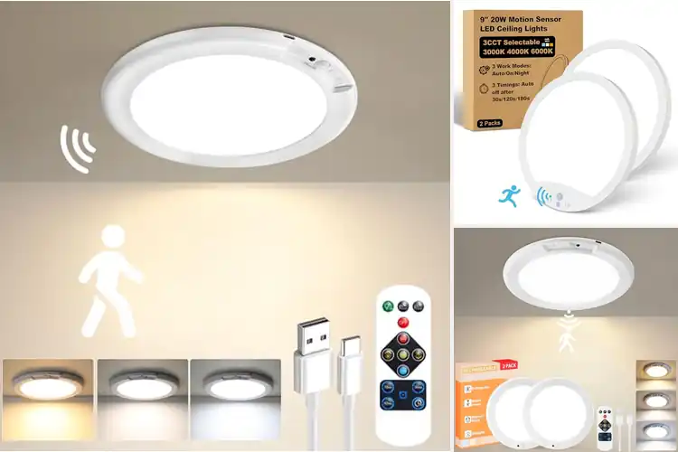 Detailed view of Best Motion Sensor Ceiling Light
