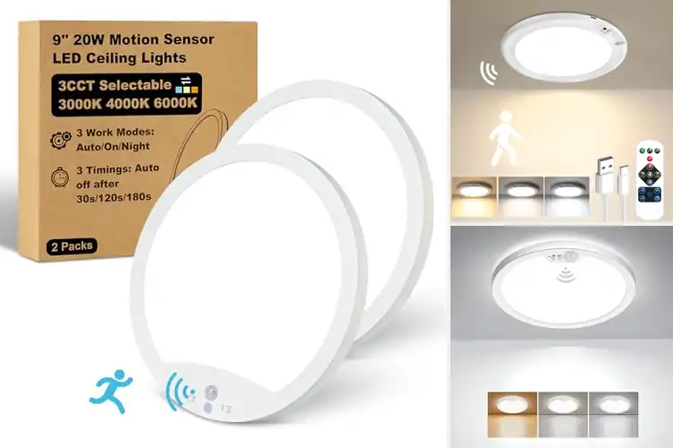 Detailed view of Best Motion Sensor Ceiling Lights