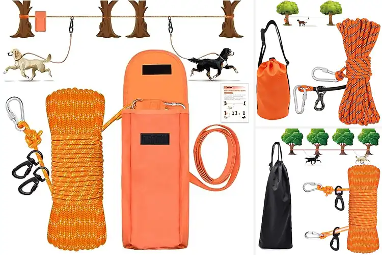 Detailed view of Best Multi-Environment Dog Run For Yard Camping Hiking