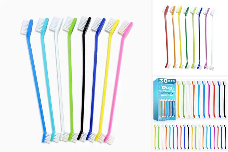 Detailed view of Best Multi Pack Dog Toothbrush