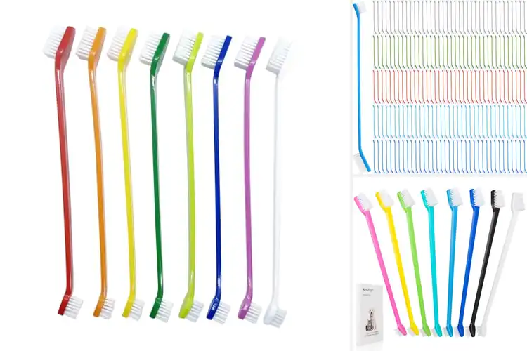 Detailed view of Best Multi Pack Dog Toothbrushes