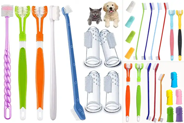 Detailed view of Best Multi-Pet Toothbrush Sets