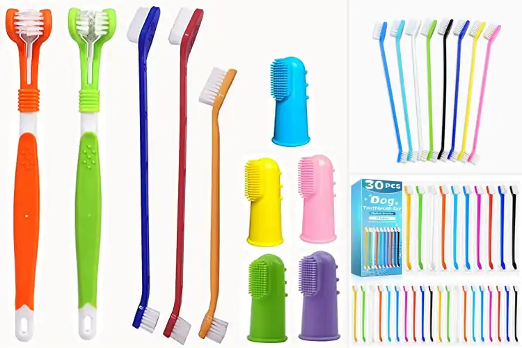Detailed view of Best Pack Of Dog Toothbrushes For Multiple Pets