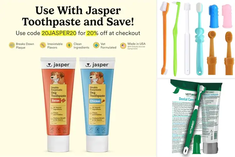 Detailed view of Best Pet Dental Brushes: Top Picks for Plaque-Free Smiles