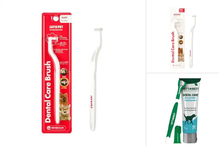 Detailed view of Best Pet Dental Care Brushes