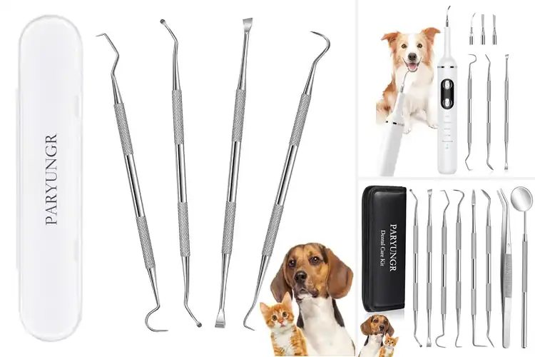 Detailed view of Best Pet Dental Care Tool: Top 10 Picks for a Healthy Smile